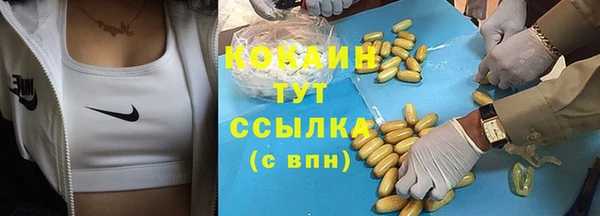 соль ск Зеленодольск